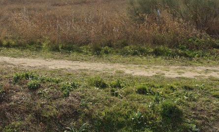 Foto 2 de Residencial en venta en Carretera de Circunvalación Sur, Altos del Olivar - El Caracol, Valdemoro