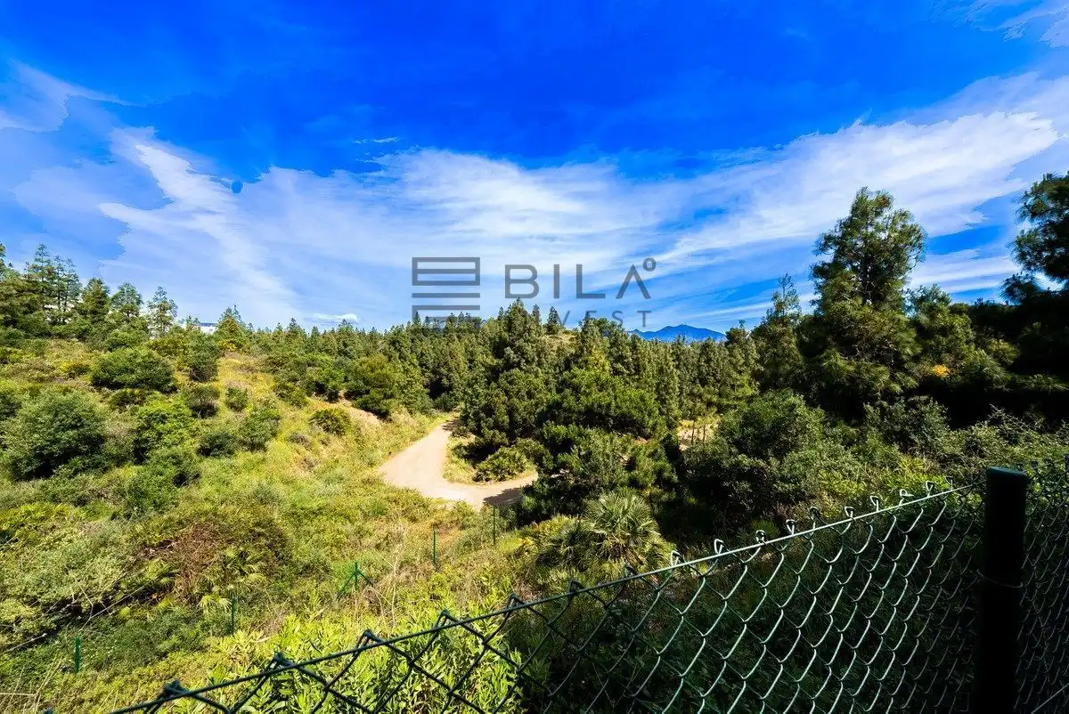 Piso con piscina en venta en Aralia, imagen 44