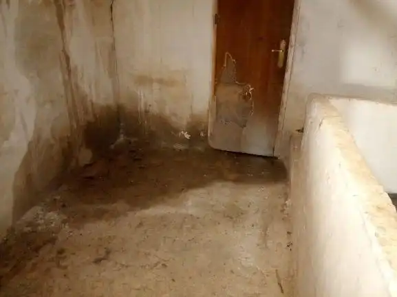 Casa o chalet en venta en Montejícar