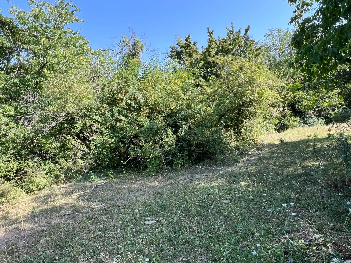 Land for sale in Broto