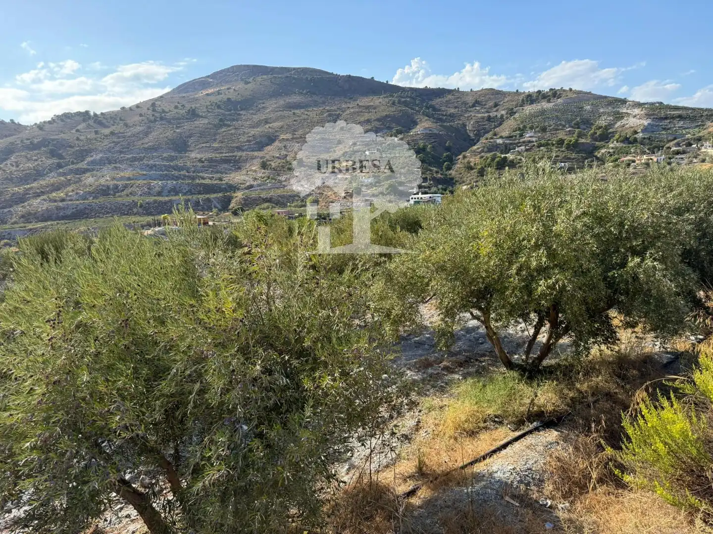 Grundstücke zum Verkauf in Vélez de Benaudalla