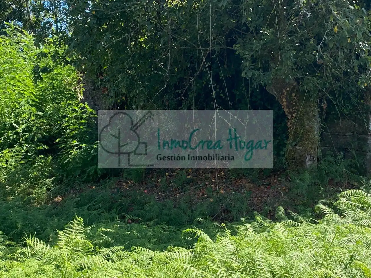 Terreno residencial en venta en Ponteareas, imagen 11