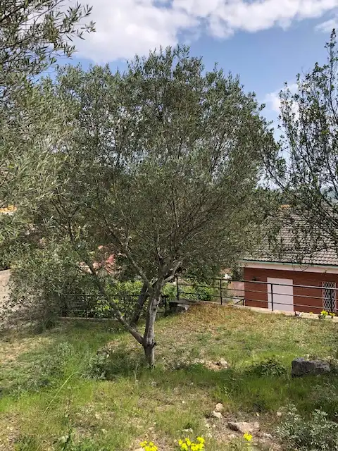 Casa o xalet en venda en La Palma de Cervelló amb Aire condicionat, Calefacció i Jardí privat