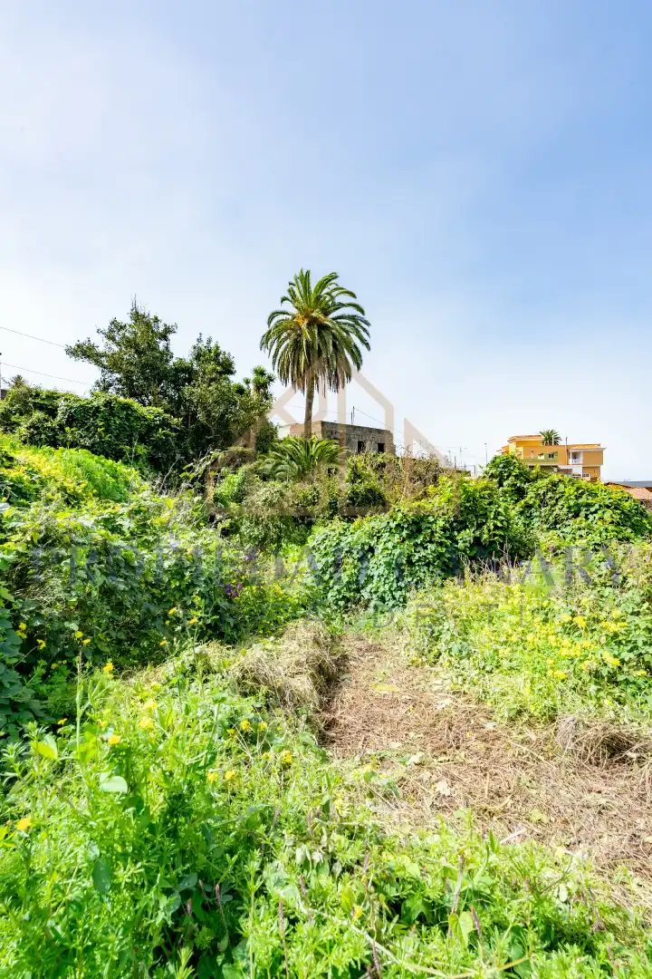 Finca rústica en venda en La Victoria de Acentejo