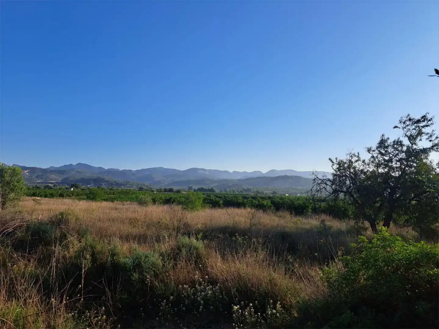 Land for sale in Marines
