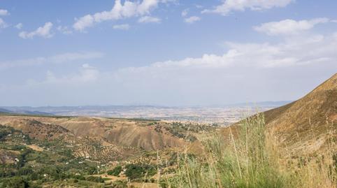 Photo 2 of Land for sale in  Haza del Collado, Zona baja, Sierra Nevada