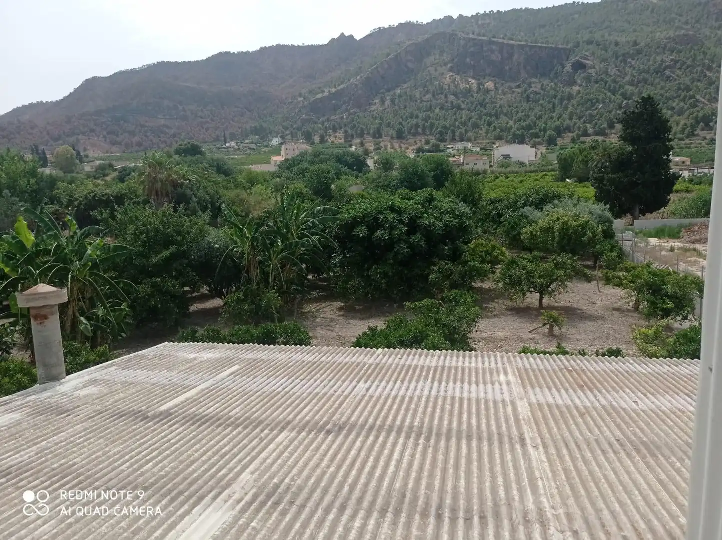 Finca rústica en venda en Murcia amb Jardí privat, Traster i Moblat
