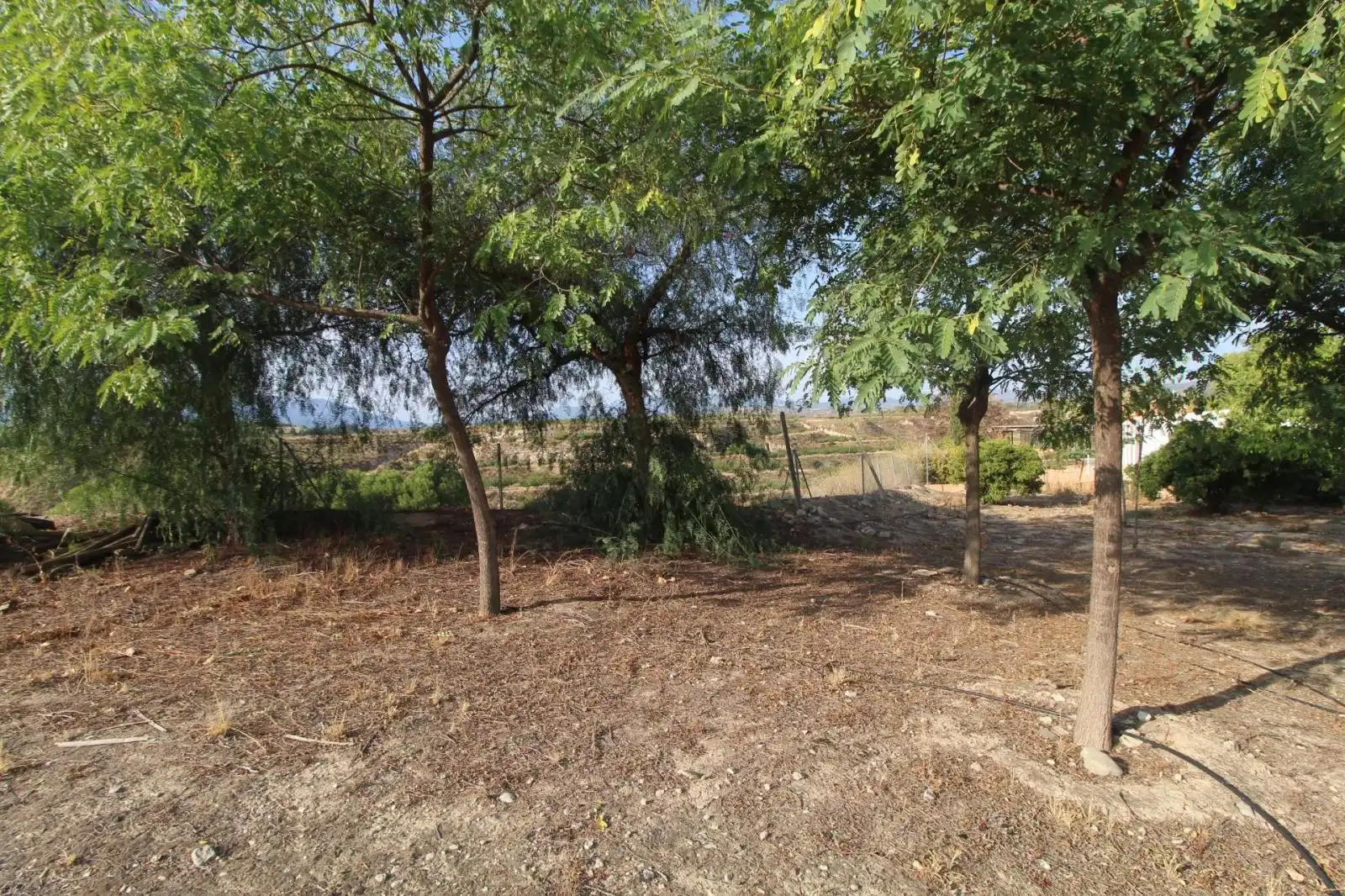 Casa o xalet en venda en Mula