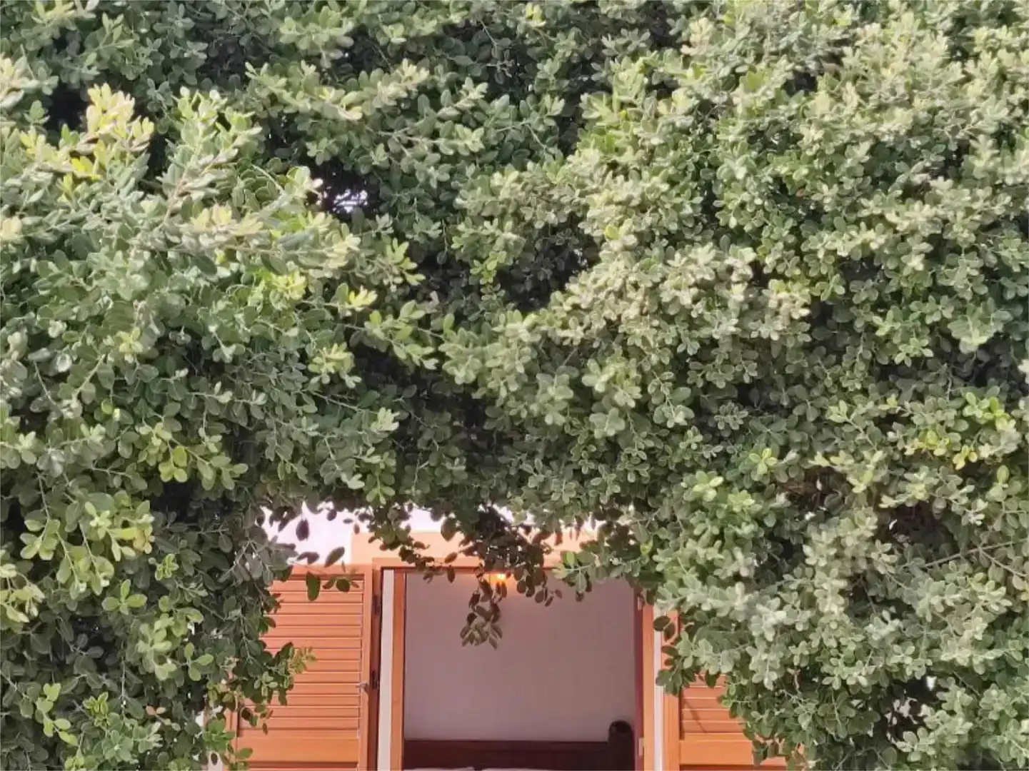 Vista exterior de Casa o chalet en venta en Sant Joan de Labritja con Aire acondicionado y Piscina