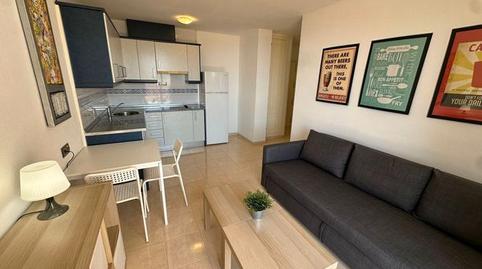 Foto 5 de Loft de alquiler en Calle las Encinas, 48, La Envía, Almería