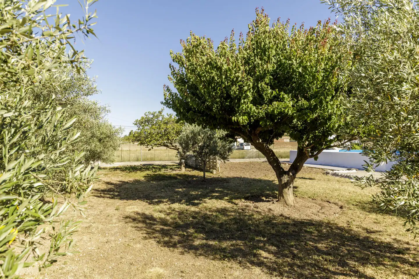 Jardí de Casa o xalet en venda en Zaragoza