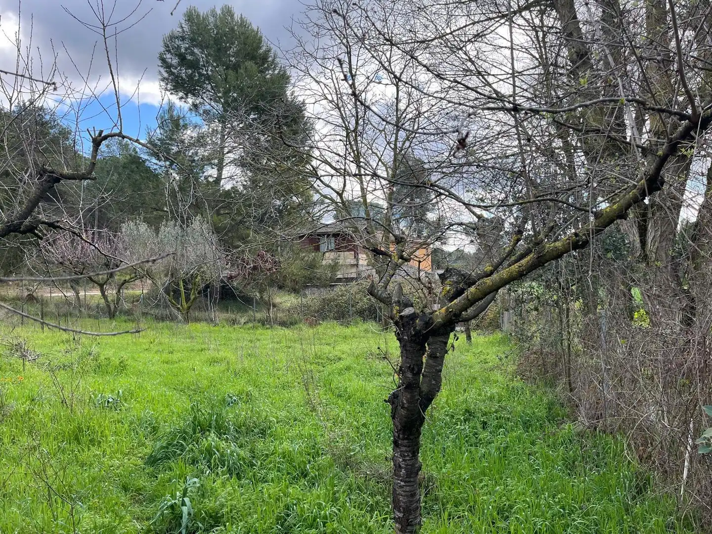 Terreno residencial en venta en El Bruc, imagen 14