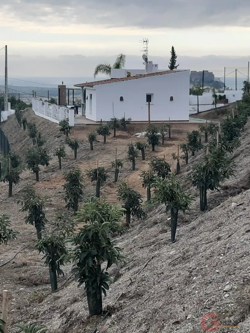 Casa rústica en venda a Centro, imagen 25