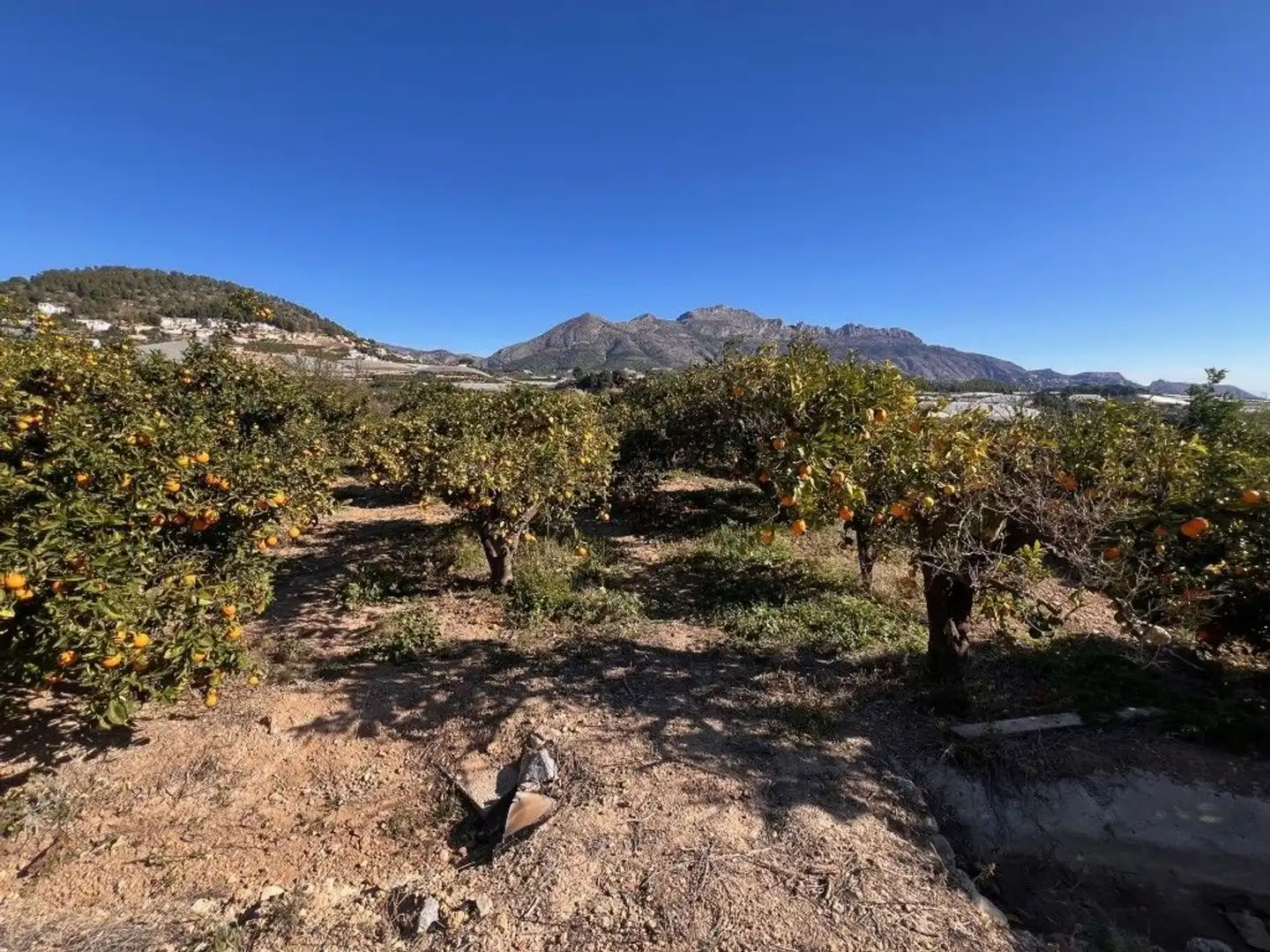 Terrain rustique à vendre à Partida Sentenilla