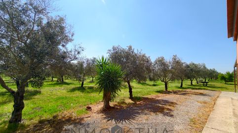 Foto 4 de Finca rústica en venta en Lebrija, Sevilla