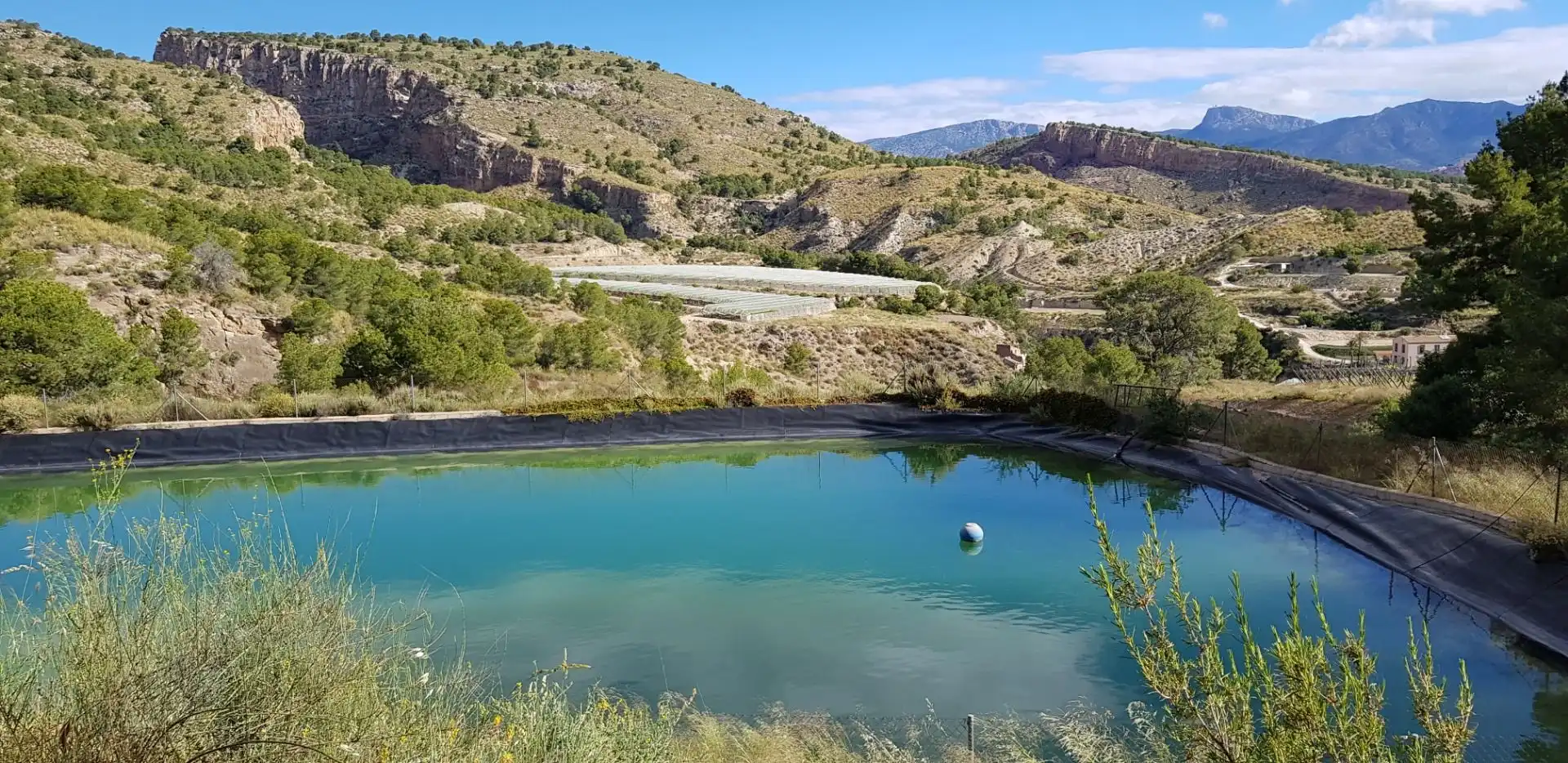 Piscina de Casa o chalet en venta en Aledo con Terraza y Trastero