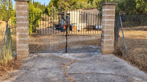 Finca rústica en Bunyola con caseta de aperos y más de 13.000 m2 de terreno, immagine 4