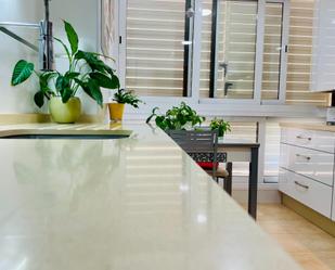 Flat to rent in Ciudad Jardín - Zoco