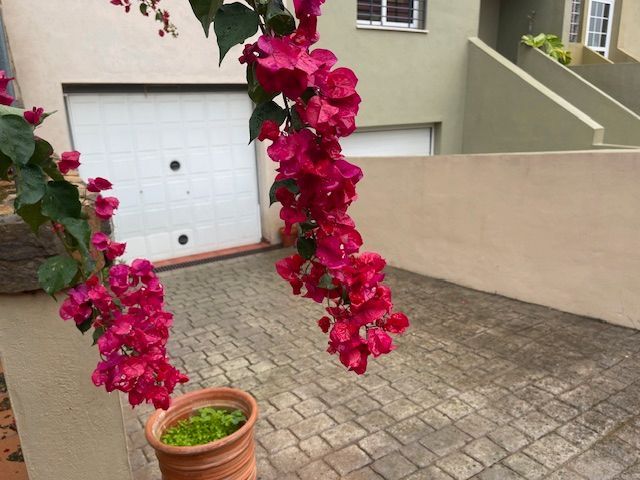 Exterior view of Single-family semi-detached for sale in Algeciras  with Terrace, Storage room and Oven