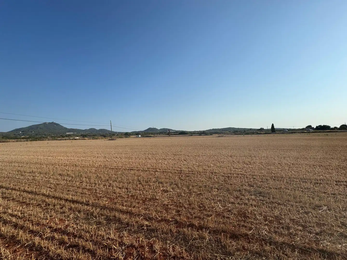 Rural land for sale in M14 Diseminado Primera Volta, imagen 8