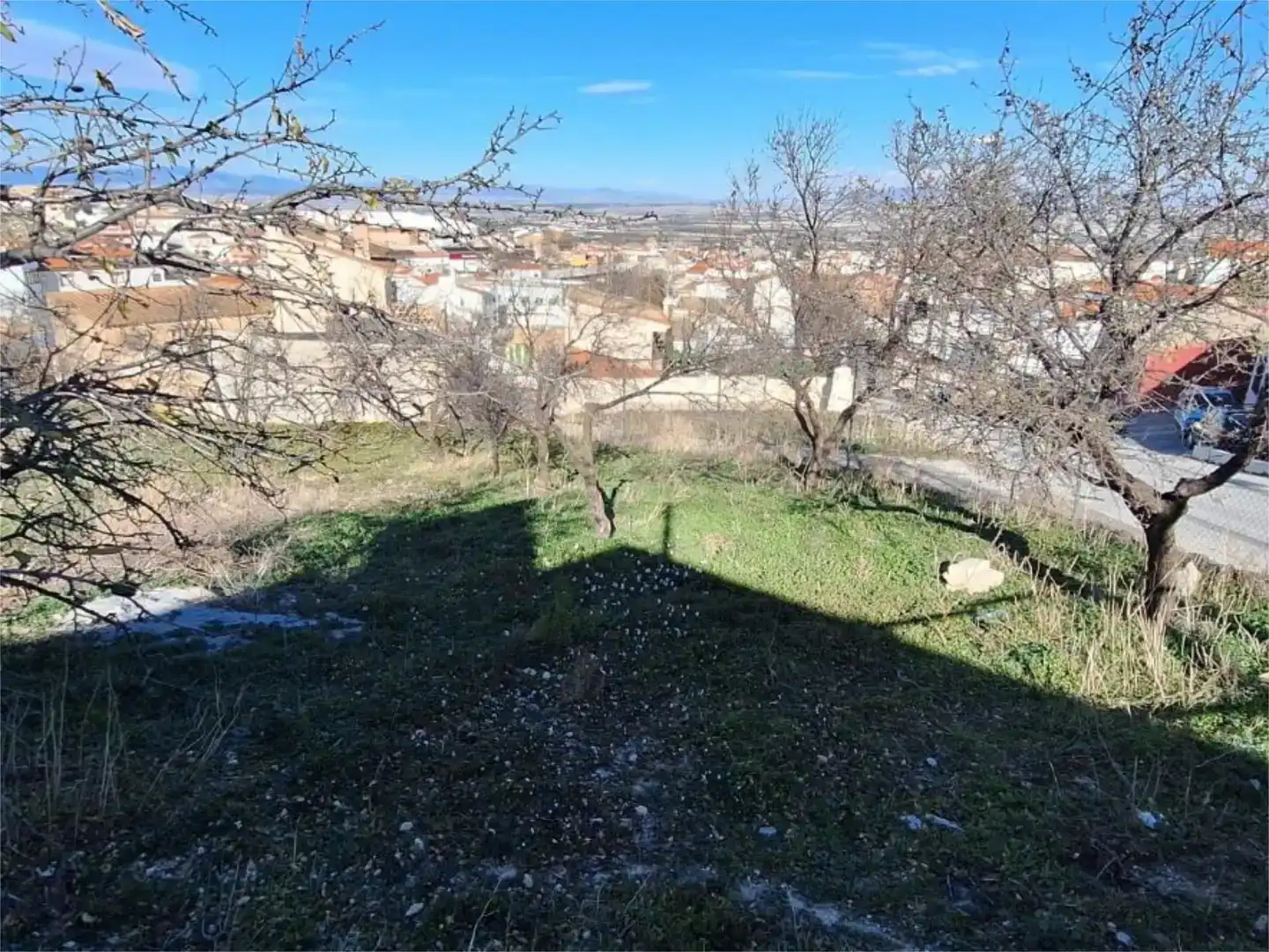 Casa o xalet en venda en Baza amb Jardí privat