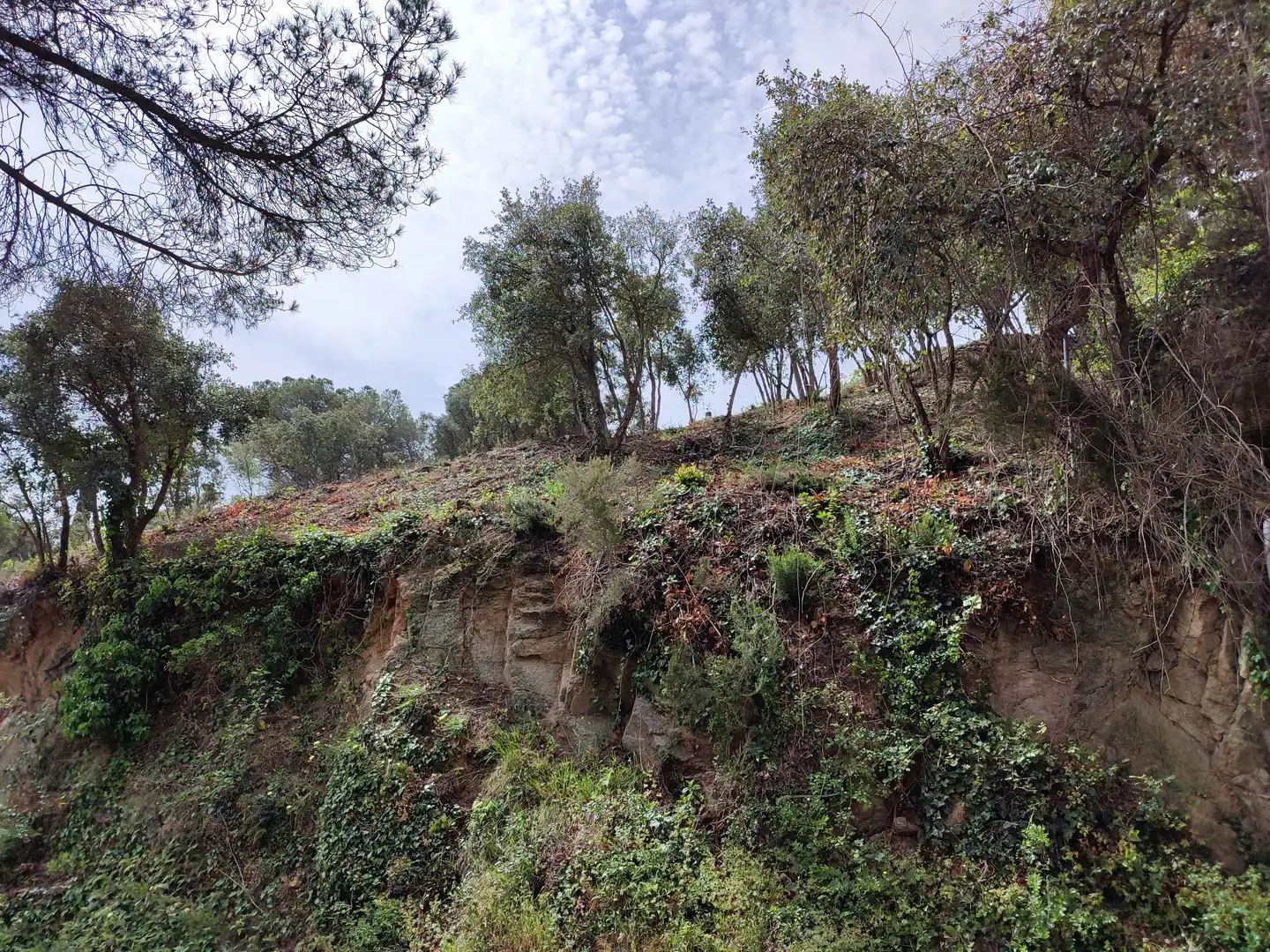 Wohnbaugrundstück zum Verkauf in Carrer Amposta, imagen 3