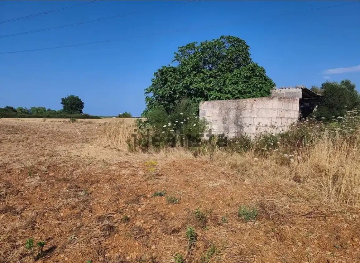 Terreno rustico in vendita a Cami de Son Mieres, imagen 7
