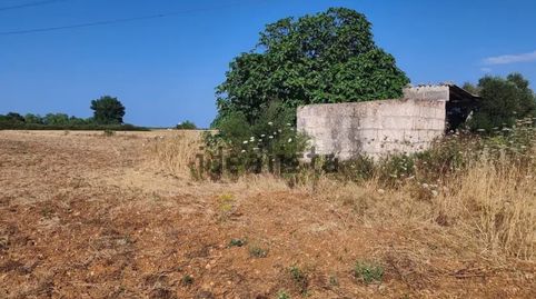 Venta Finca Rústica con caseta y pozo de vena en Muro, immagine 2