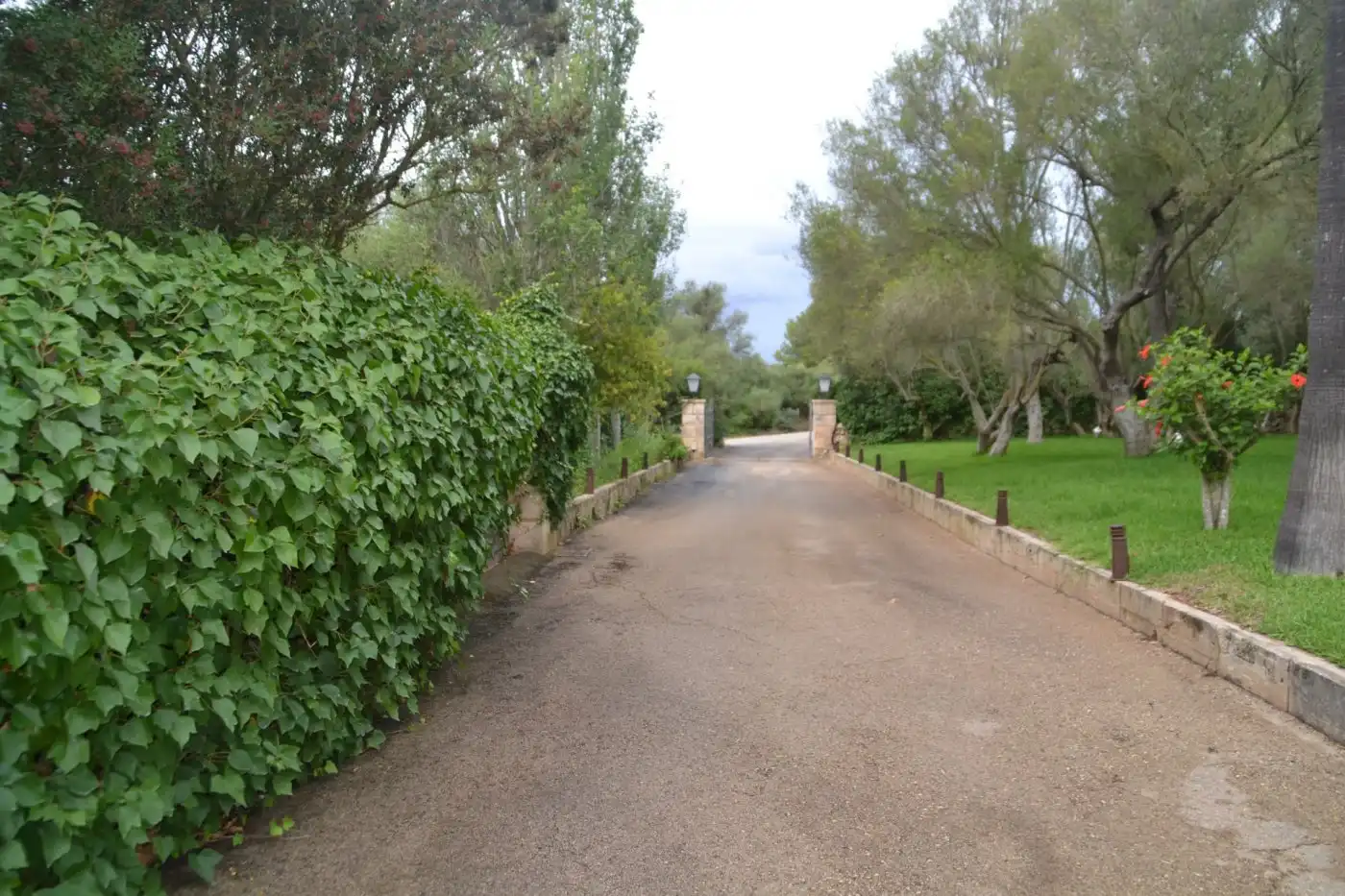 Finca rústica en venta en Son Gual