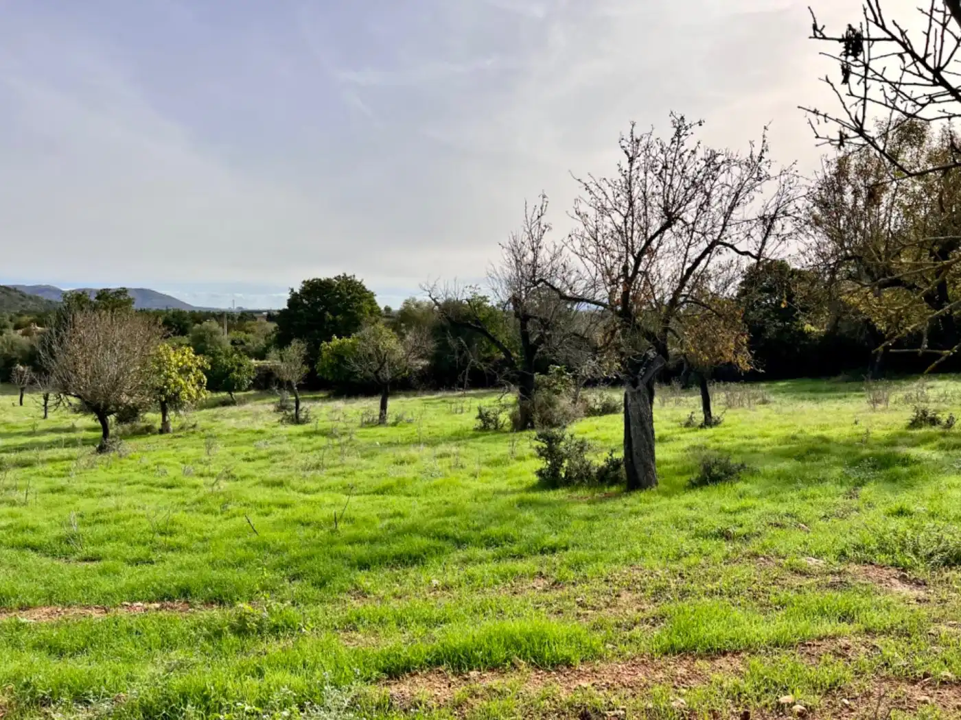 Casa rustica in vendita a Campanet, imagen 4