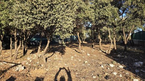 Terreno en venta en Pioz, immagine 2
