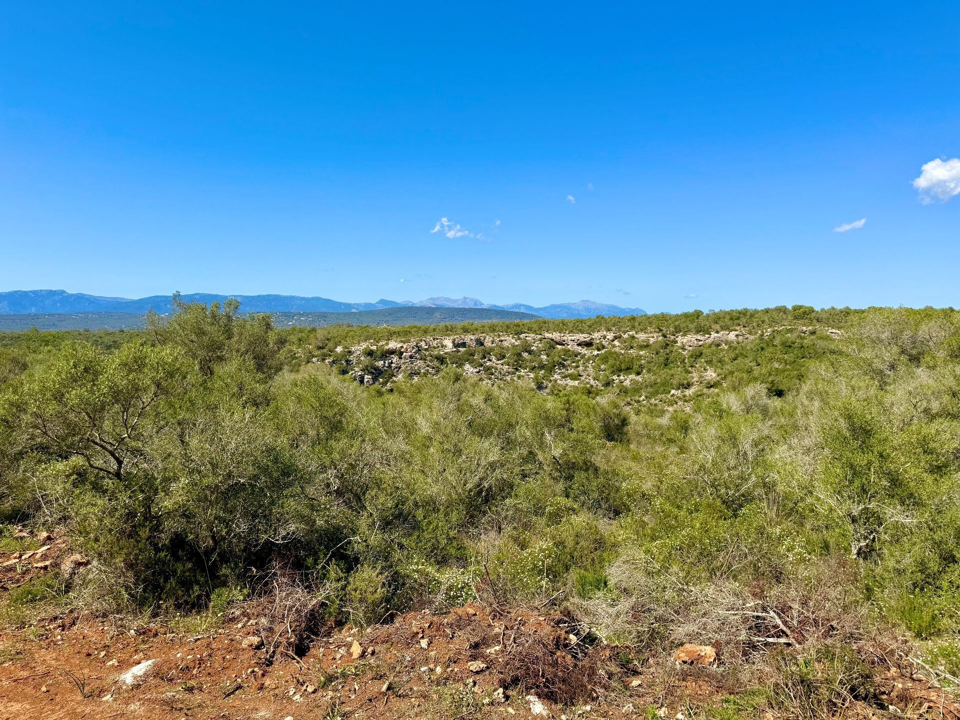 Residencial en venda en  Palma de Mallorca
