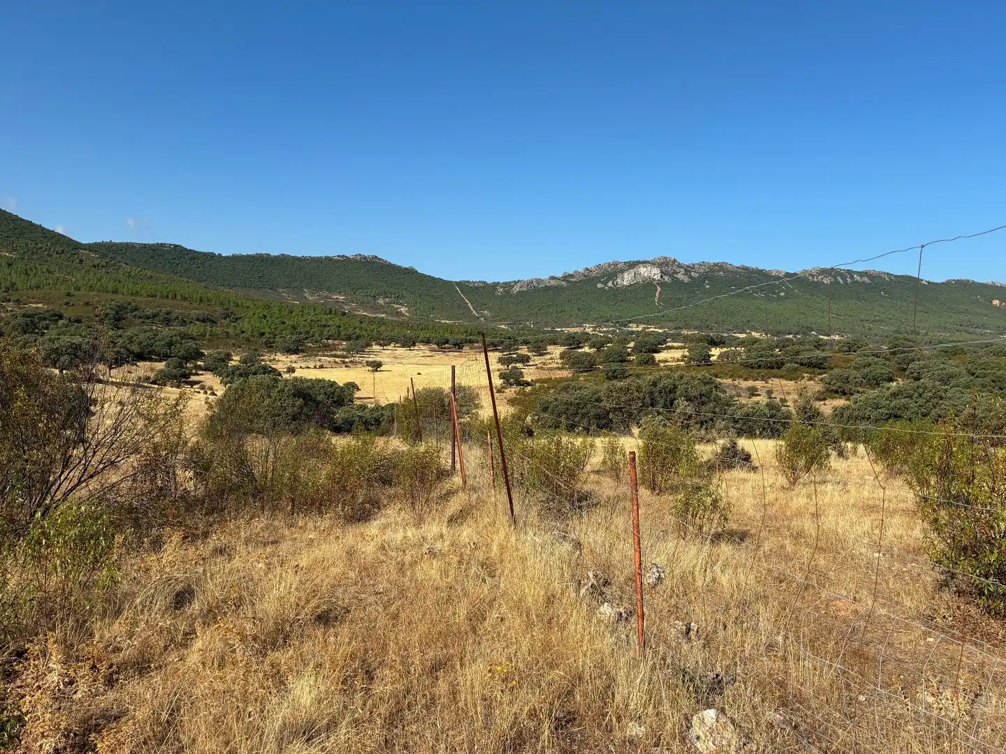 Rural land for sale in Puerto de San Vicente, imagen 21