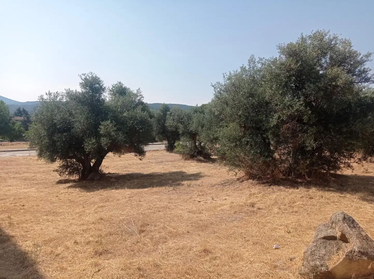 Terreni e lotti in vendita a San Martín de Valdeiglesias, imagen 4