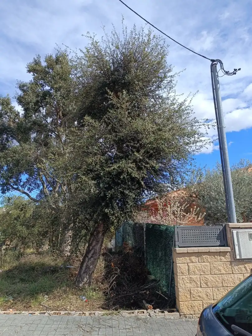 Terreny residencial en venda a Sils, imagen 2