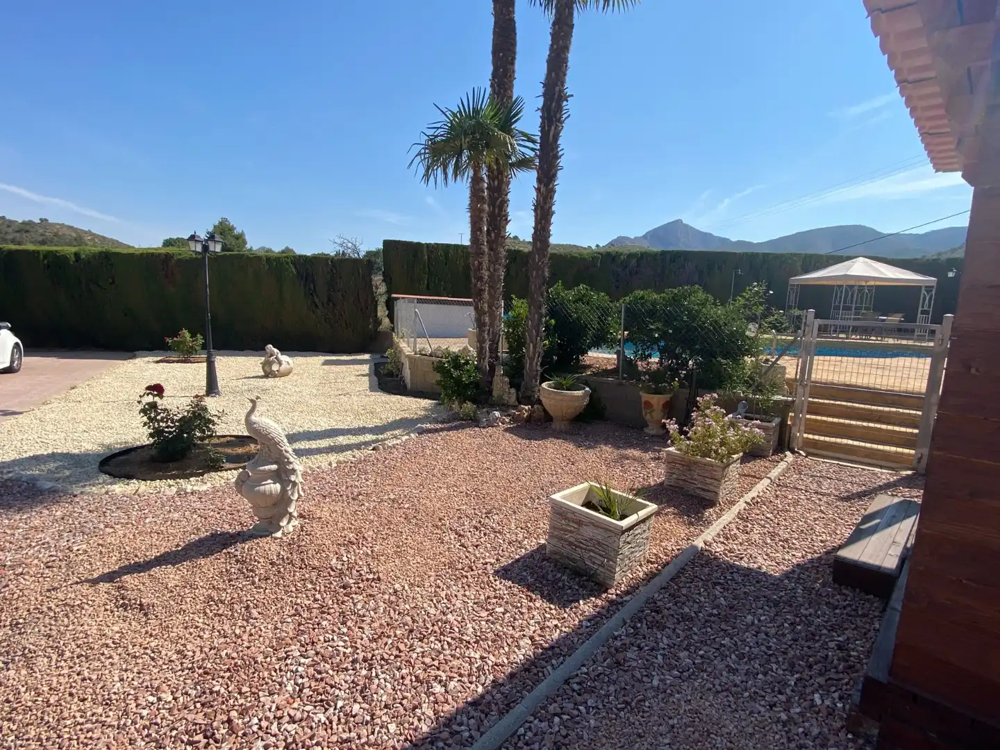 Jardí de Casa o xalet en venda en Petrer amb Aire condicionat, Terrassa i Piscina