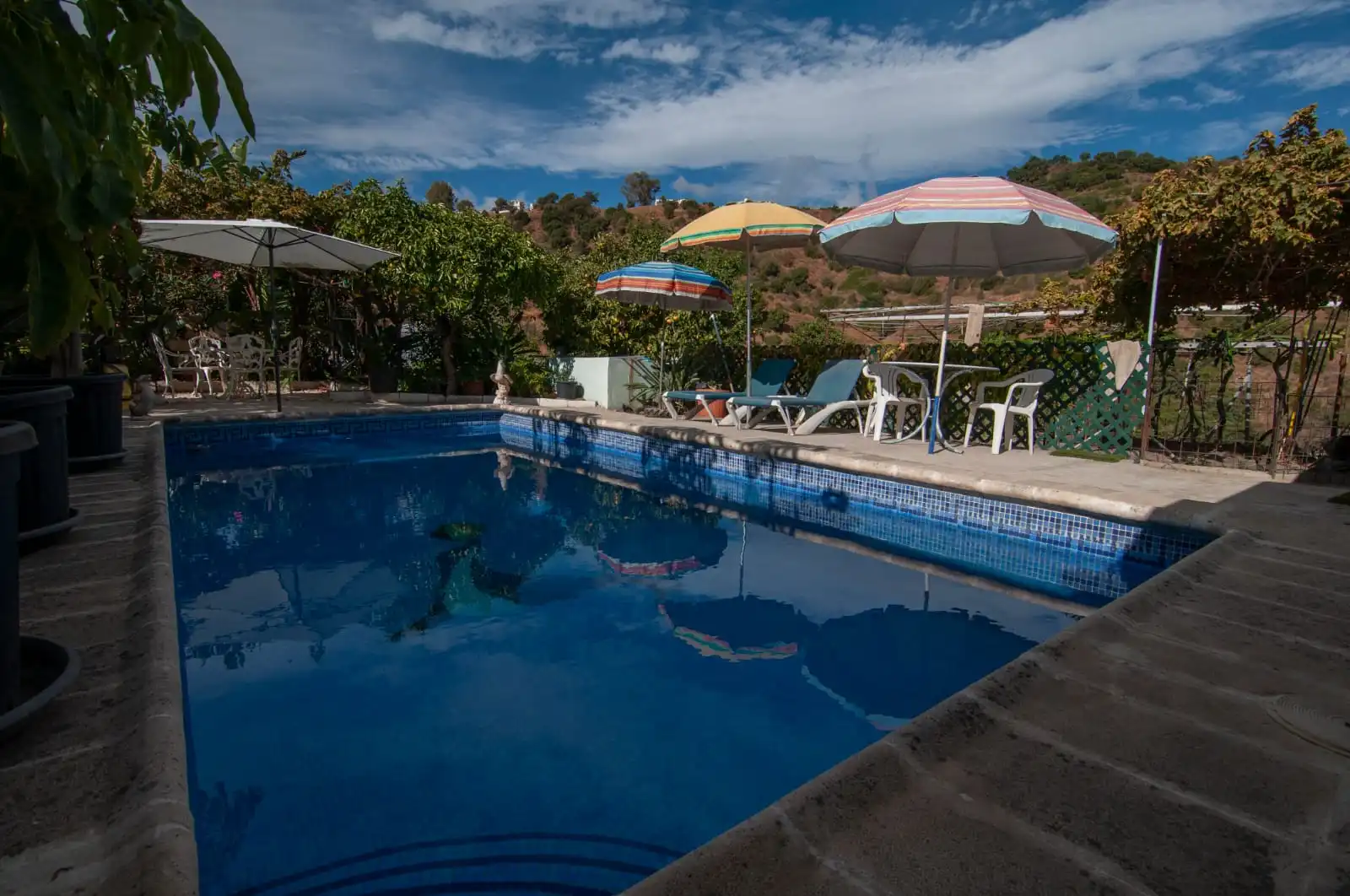 Piscina de Casa o xalet en venda en Marbella amb Piscina i Moblat