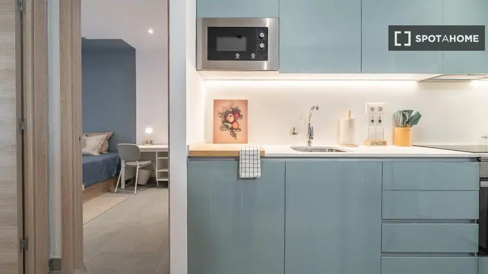 Cocina de Piso para compartir en Barcelona con Aire acondicionado, Calefacción y Terraza