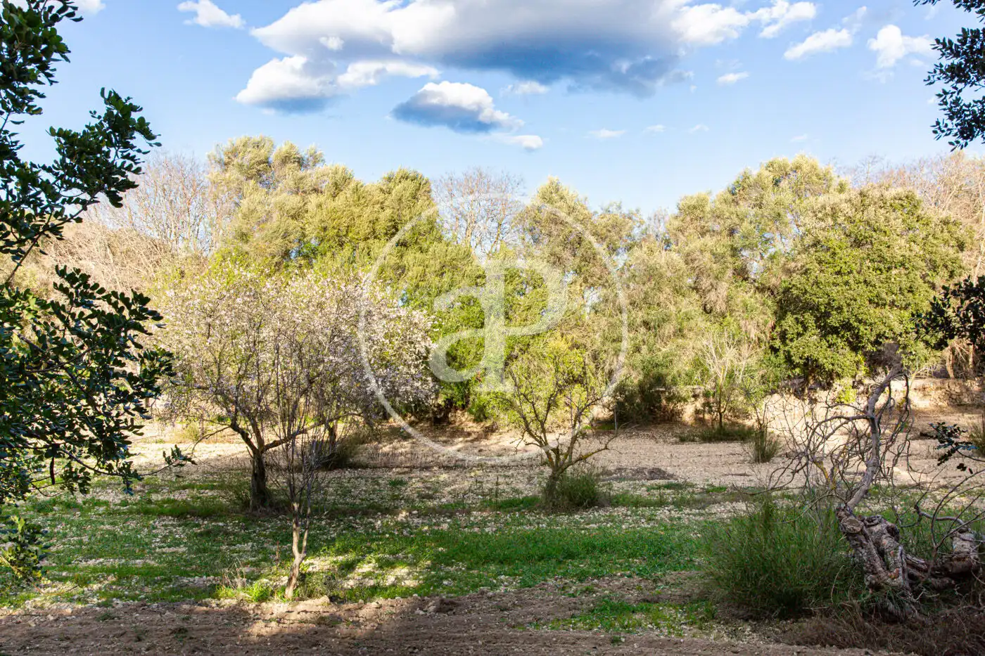 Residencial en venta en Santa Margalida