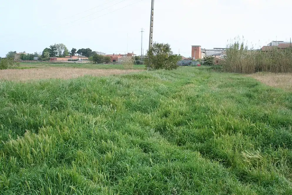 Terreno rustico in vendita a Pj Alzines, imagen 8