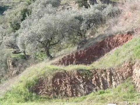 Terreny rústic en venda a Comares, imagen 4