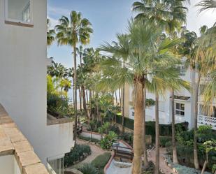 Garden of Planta baja to rent in Marbella  with Terrace and Community pool