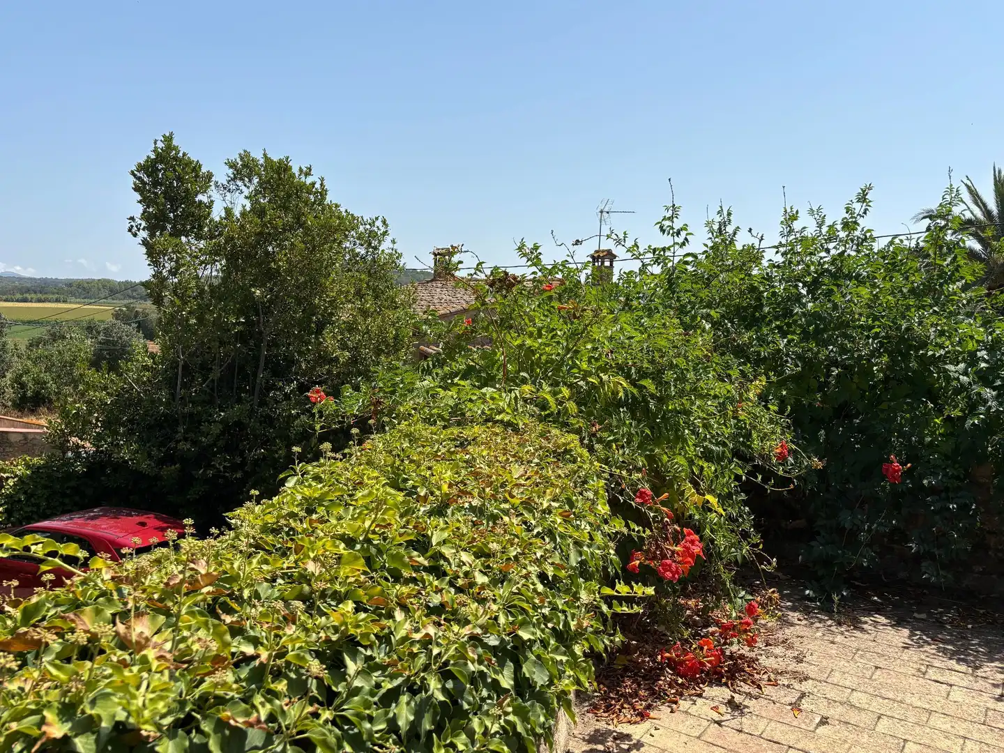 Garden of Country homes for sale in Corçà  with Heating, Private garden and Terrace