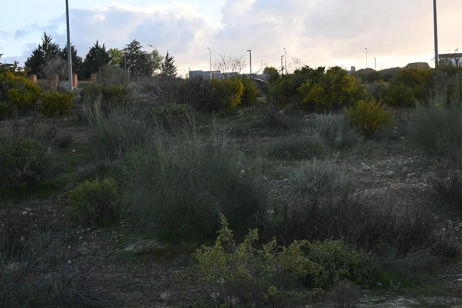 Terreni e lotti in vendita a Calle Abelia 13, imagen 13