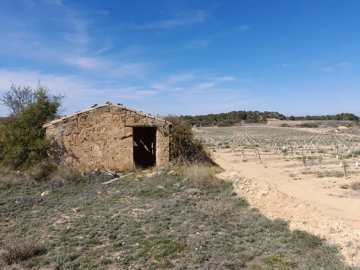 Rural land for sale in Batea, imagen 6