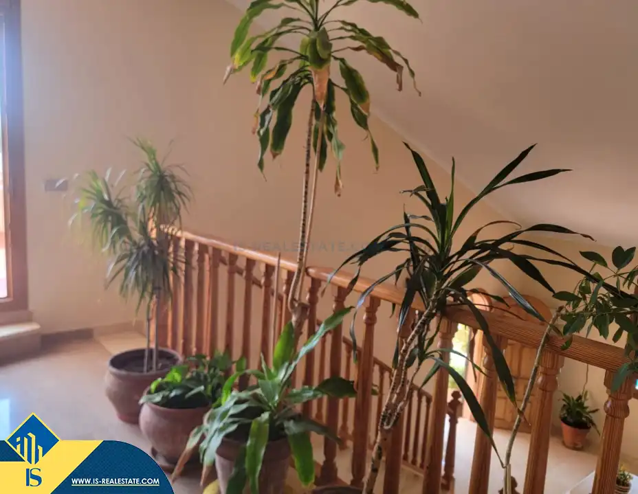 Chalet con piscina en venta en La Mata, imagen 16