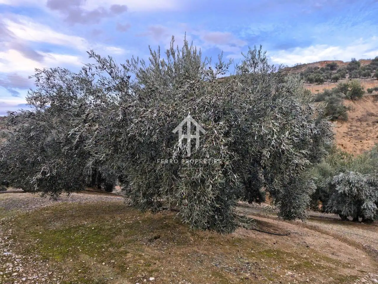 Terreni e lotti in vendita a Huétor Tájar, imagen 17