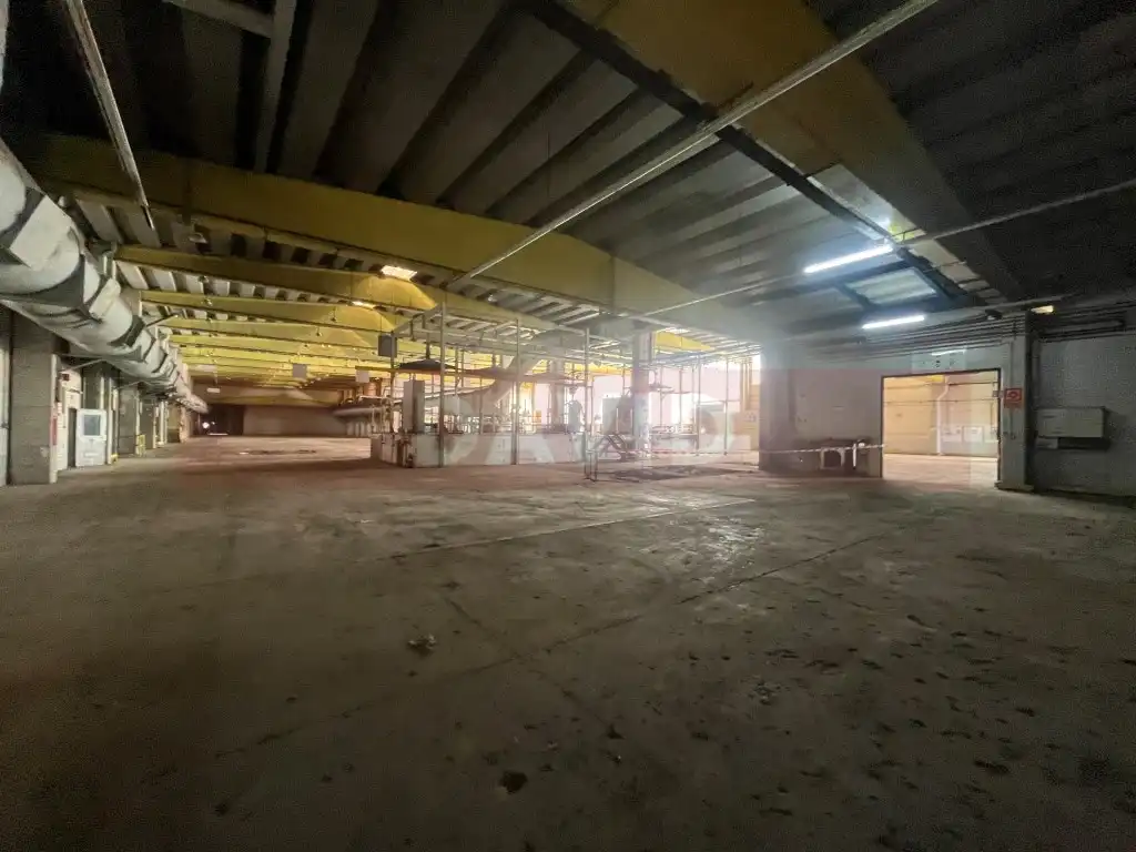 Industrial building for sale in Diseminados Poligon 39, imagen 11