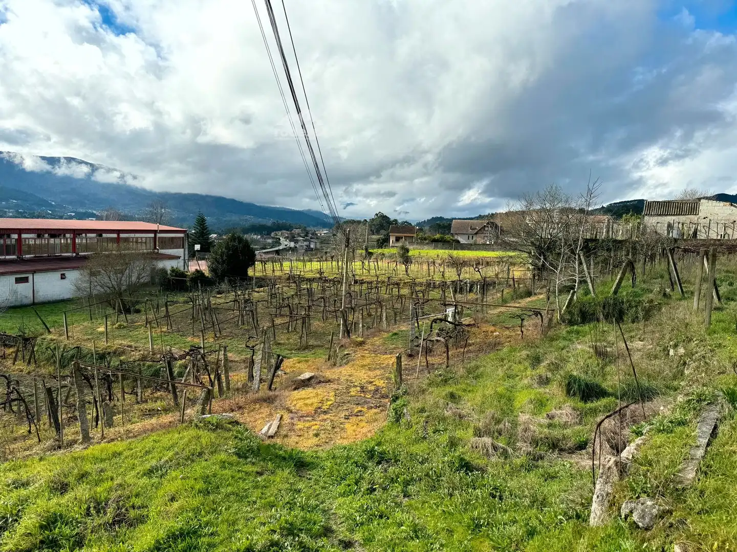 Rural land for sale in Arbo, imagen 16