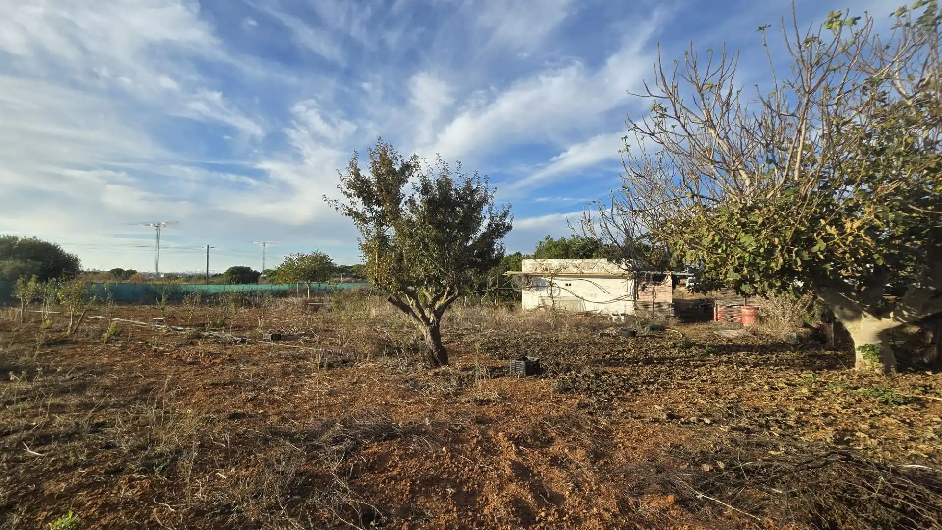 Land for sale in Los Franceses – La Vega